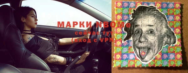 прущие грибы Аркадак