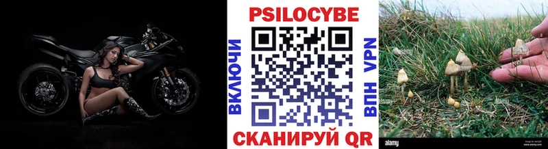 Купить  Санкт-Петербург  Галлюциногенные грибы MAGIC MUSHROOMS 