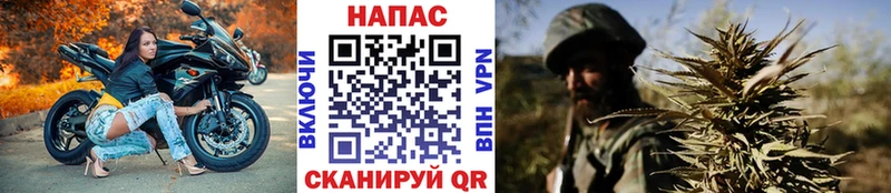 Купить закладки  Санкт-Петербург  Шишки марихуана семена 